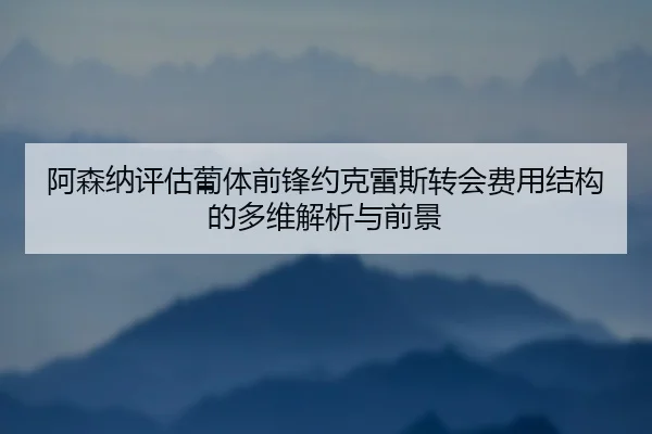 阿森纳评估葡体前锋约克雷斯转会费用结构的多维解析与前景
